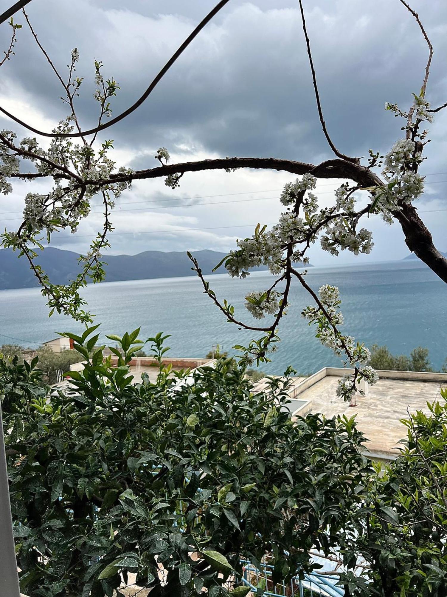 Marisi House Apartment Vlore Ngoại thất bức ảnh